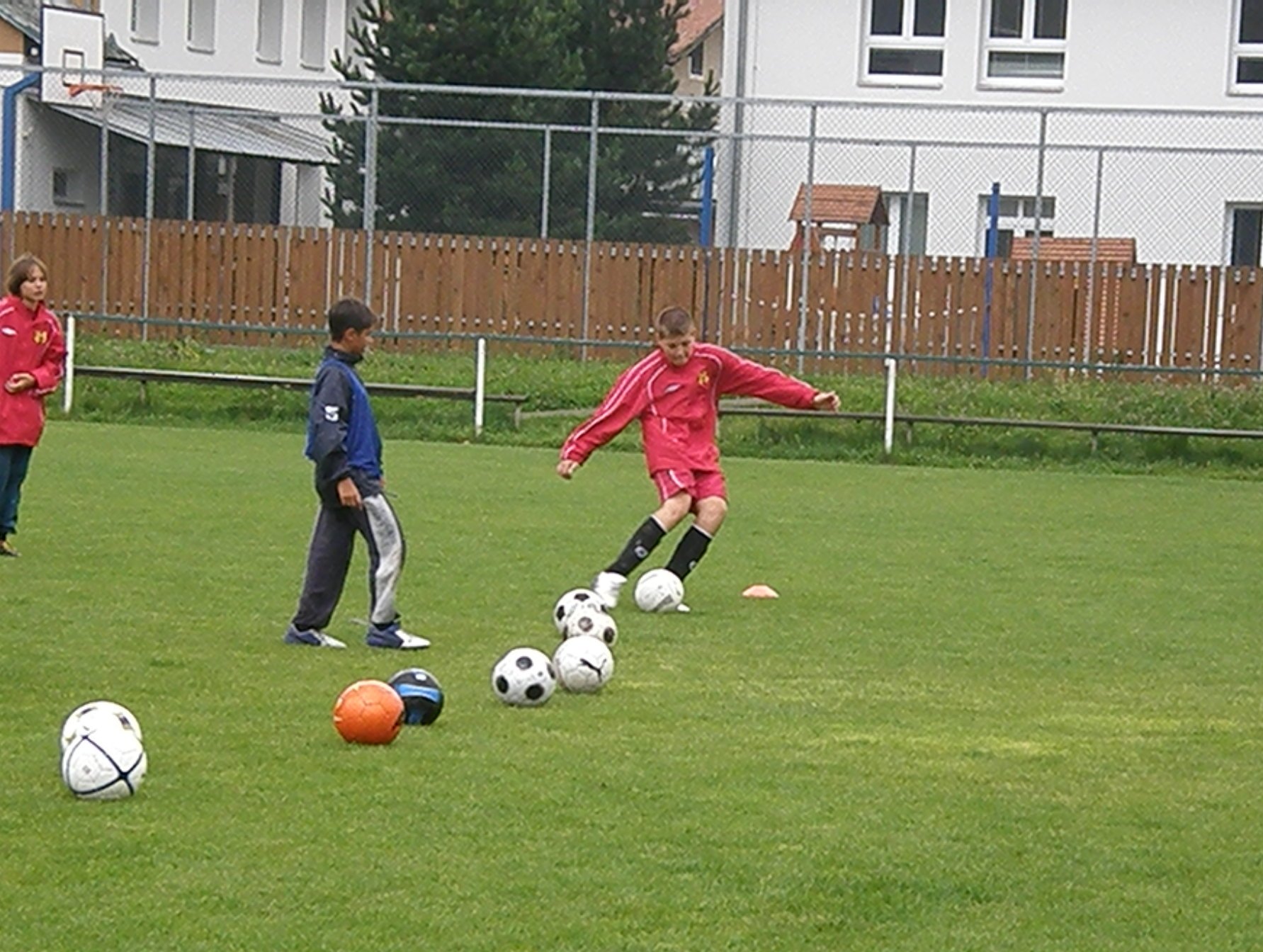 P8115646.JPG