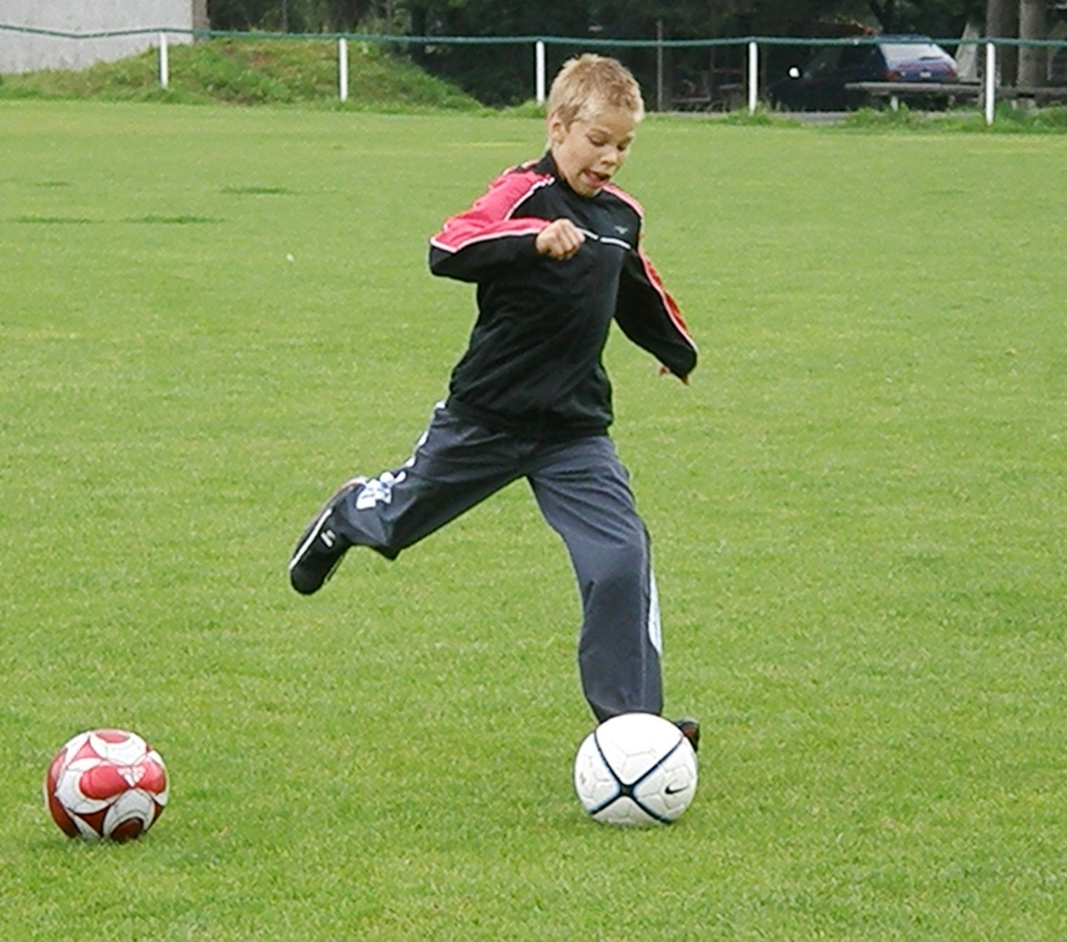 P8115651.JPG